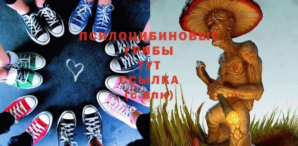 прущие крисы Новозыбков