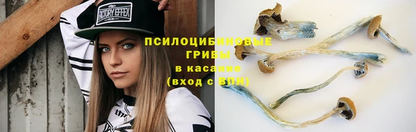 прущие крисы Новозыбков