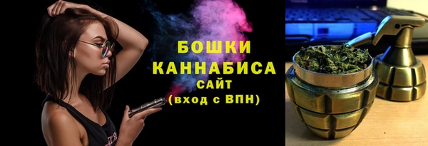 прущие крисы Новозыбков