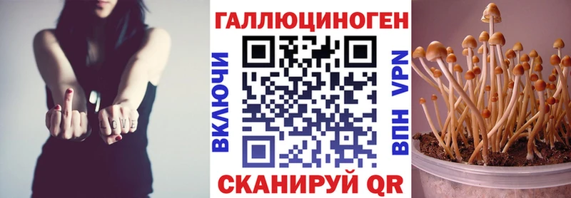 Псилоцибиновые грибы мухоморы  Луховицы 