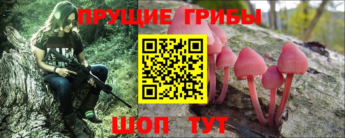 Псилоцибиновые грибы Psilocybine cubensis Луховицы